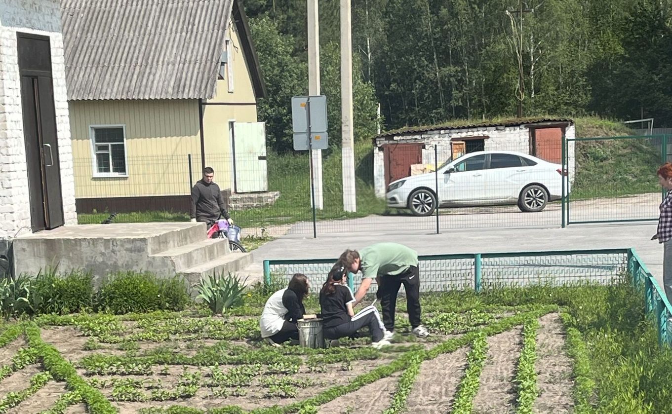 Изображения.